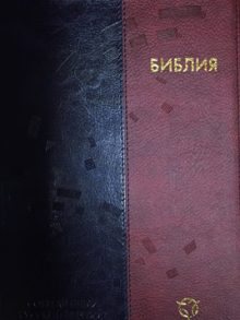 Библия 065 современный русский перевод, иллюстр. сине-коричн.пер., исск.кожа