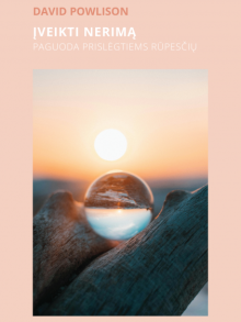 Įveikti nerimą. Paguoda prislėgtiems rūpesčių David Powlison